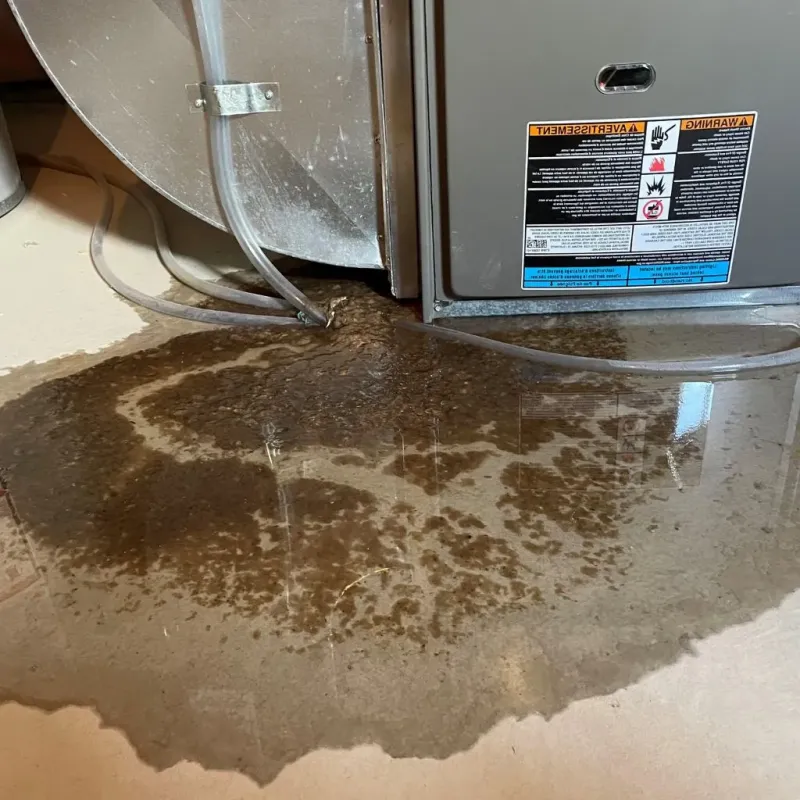 Pipe Burst and Leak Restoration in Peppermill Village, MD